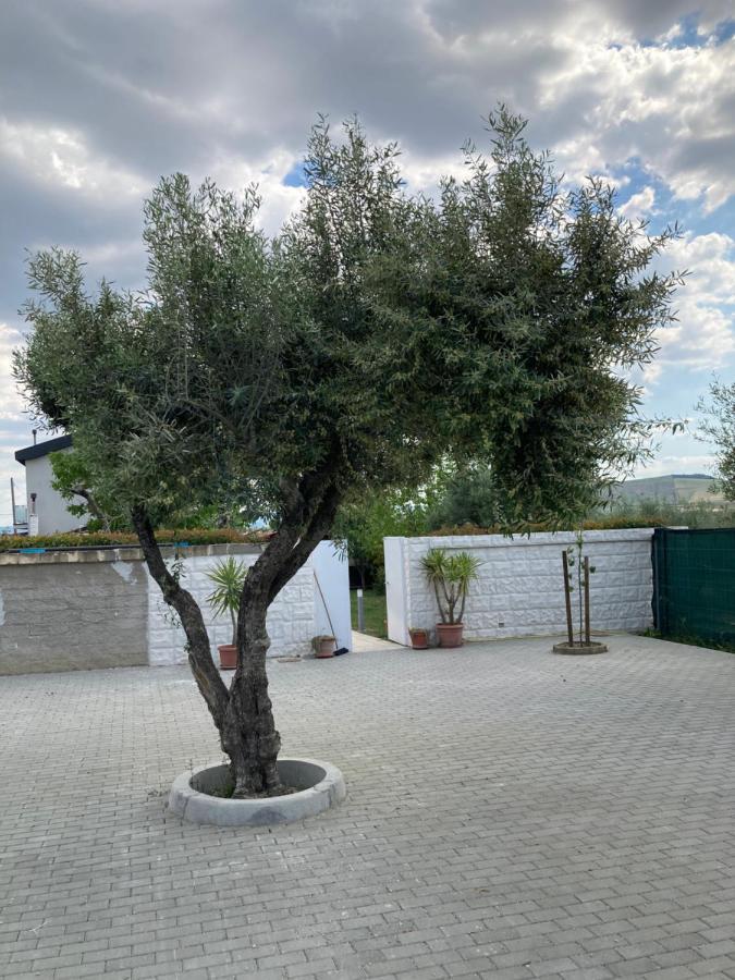 Villa Mater Матера Екстер'єр фото